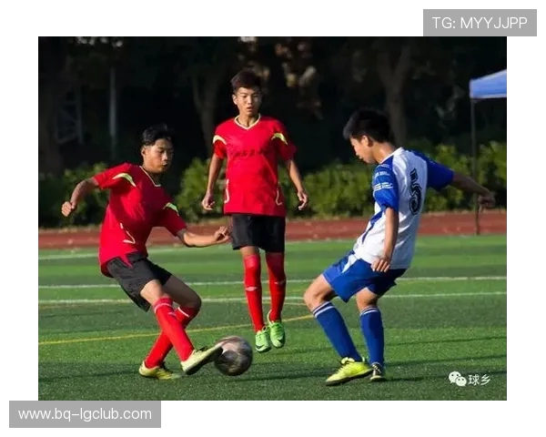 全面盘点江苏足球历届省级冠军球队发展脉络与荣耀史迹全景传承路 全面盘点江苏足球历届省级冠军球队发展脉络与荣耀史迹全景传承路